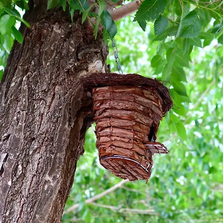 Sardinia Mongahouse Шале