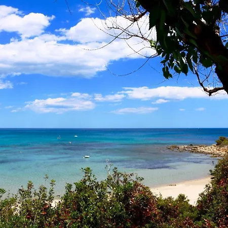 Sardinia Mongahouse Alpehytte *