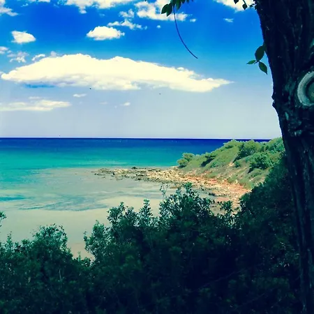 Sardinia Mongahouse *