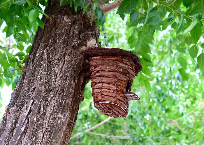 Sardinia Mongahouse Chalet