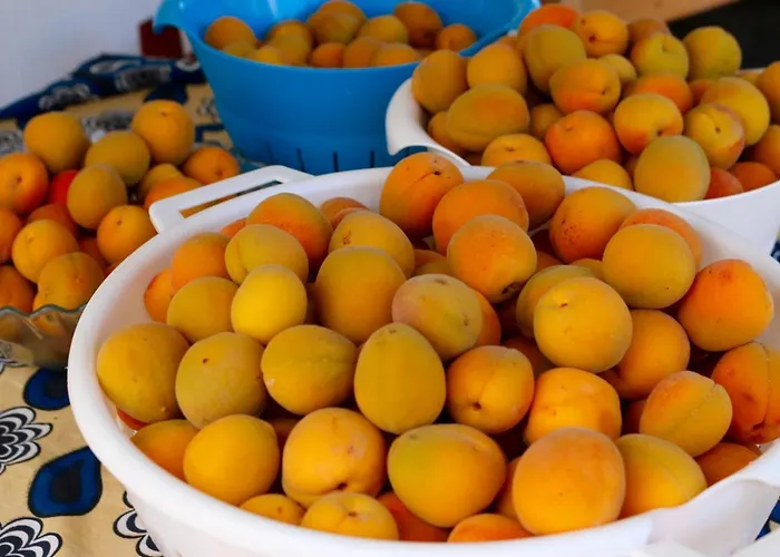 Sardinia Mongahouse Chalet