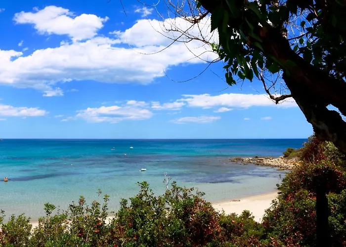 Sardinia Mongahouse 샬레 *