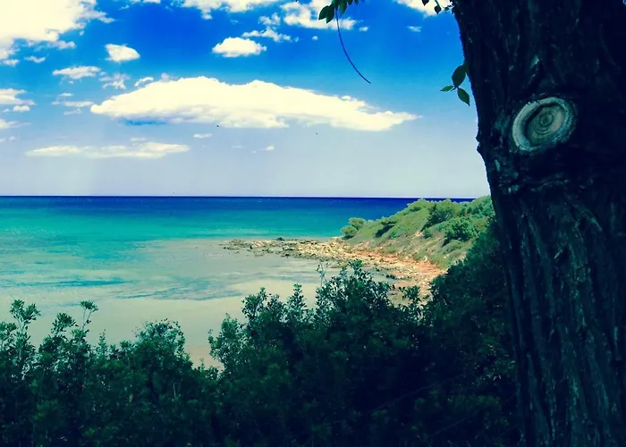 Sardinia Mongahouse *